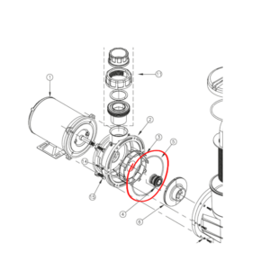 5-anel-de-vedacao-perfil-quadra-de154-l-4-1-a-4-2-mm-motobomba-para-piscinas-sibrape-modelo-he-e-sp