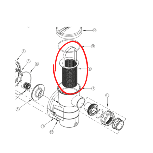8-cesto-do-pre-filtro-motobomba-para-piscinas-sibrape-modelo-he-e-sp