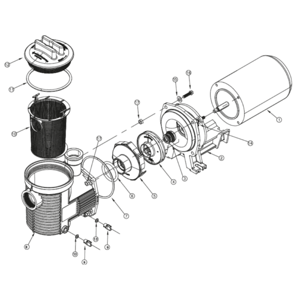 vista-explodida-motobomba-para-piscinas-sibrape-modelo-bpf-eagle